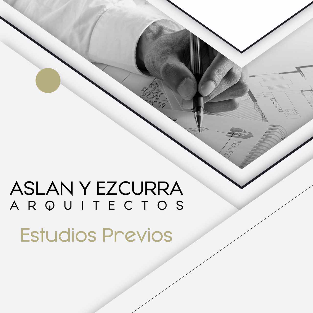 ASLAN Y EZCURRA Estudios previos